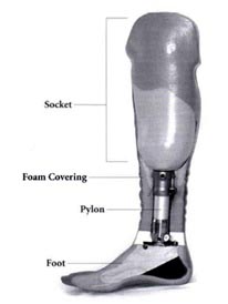 Prosthetic Terminology